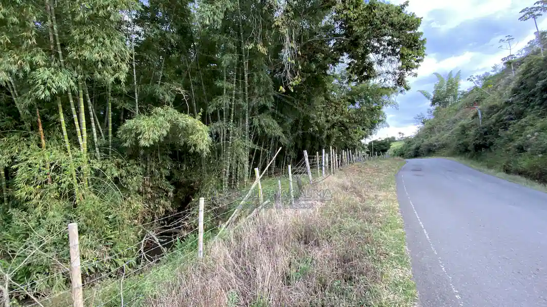 Finca La Esperanza